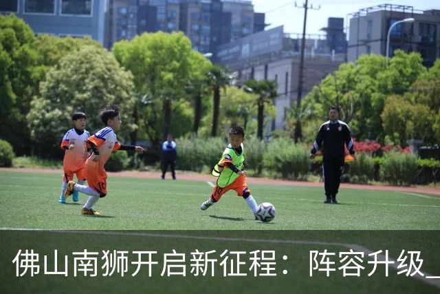 佛山南狮开启新征程：阵容升级 目标中甲前八